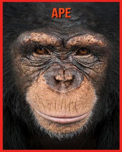 Ape