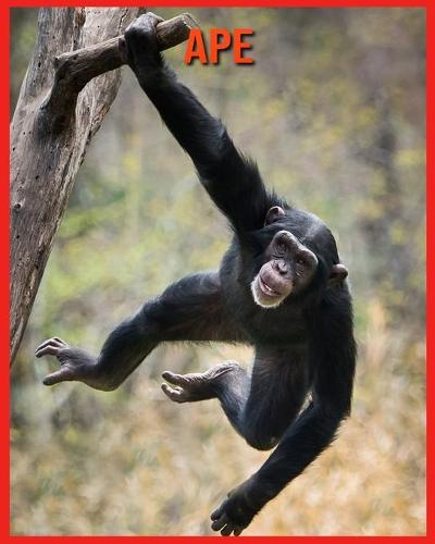 Ape