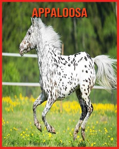 Appaloosa