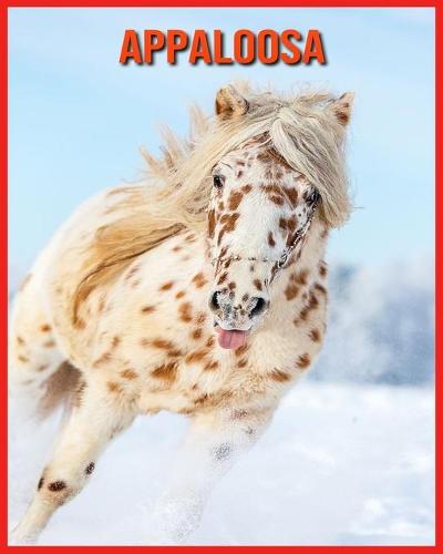 Appaloosa