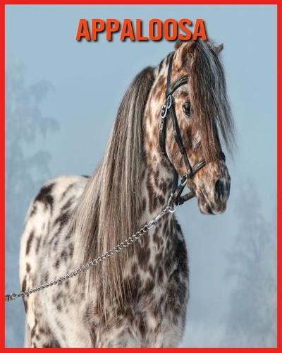 Appaloosa