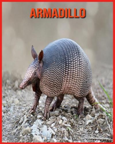 Armadillo