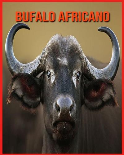 Bufalo Africano