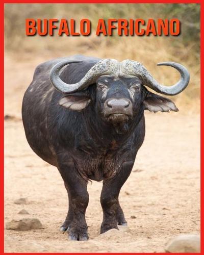 Bufalo Africano