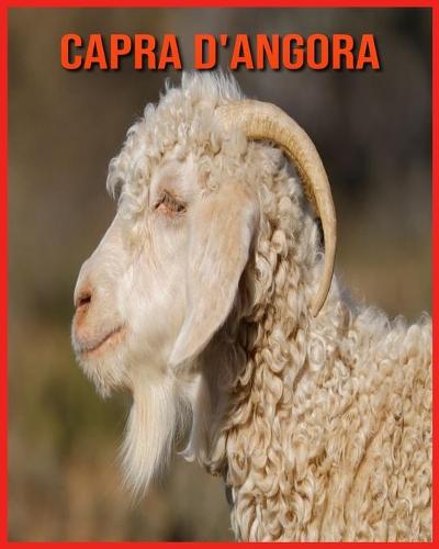 Capra d'Angora