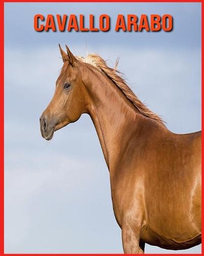 Cavallo Arabo