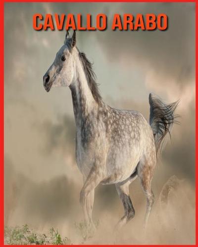 Cavallo Arabo