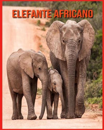 Elefante Africano