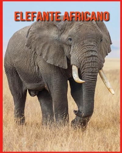 Elefante Africano