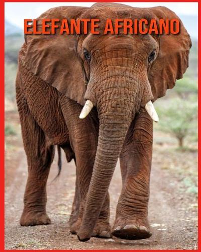 Elefante Africano
