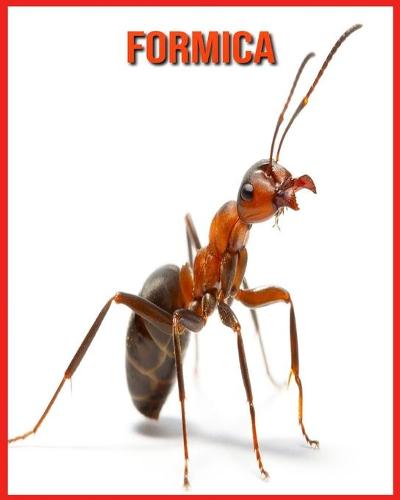 Formica