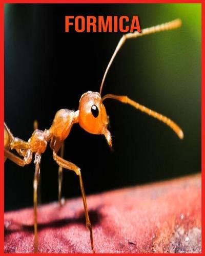 Formica