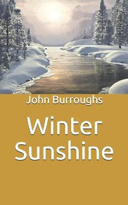 Winter Sunshine