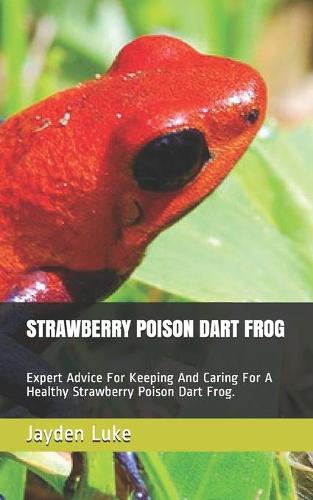 Strawberry Poison Dart Frog