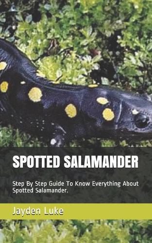 Spotted Salamander