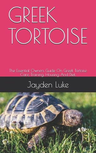 Greek Tortoise