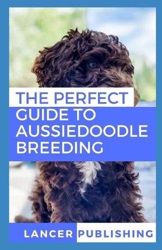 The Perfect Guide To Aussiedoodle breeding