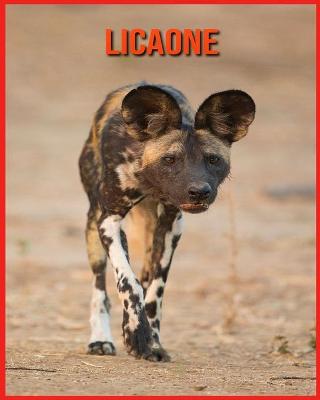 Licaone