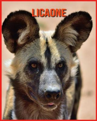 Licaone