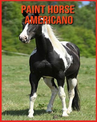 Paint Horse Americano