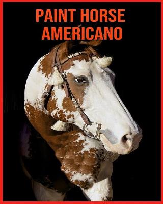 Paint Horse Americano
