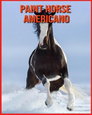 Paint Horse Americano