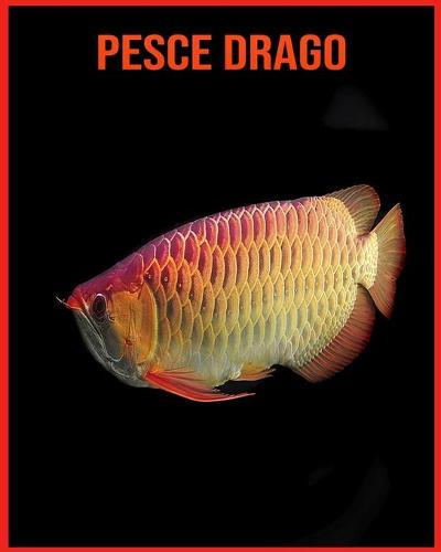 Pesce Drago