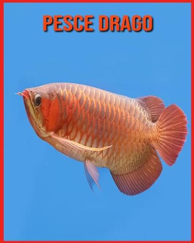 Pesce Drago