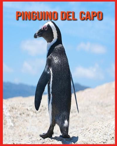 Pinguino del Capo