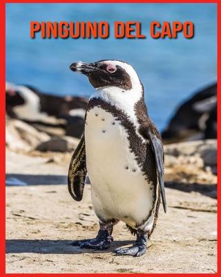 Pinguino del Capo