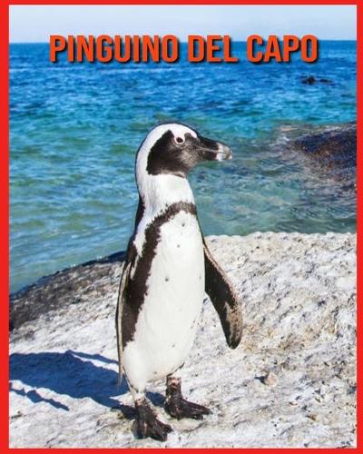 Pinguino del Capo