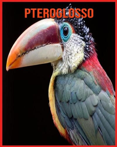 Pteroglosso