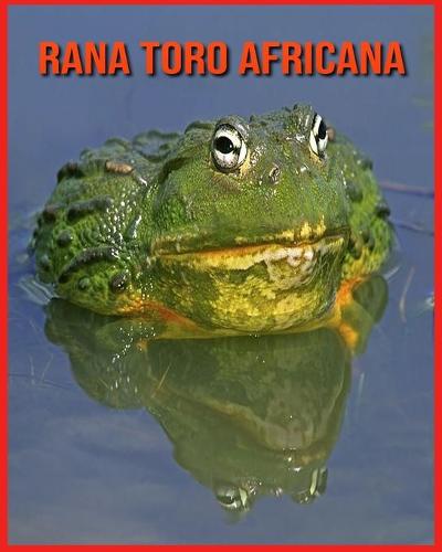 Rana Toro Africana
