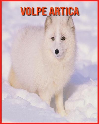 Volpe Artica