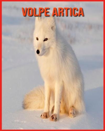 Volpe Artica