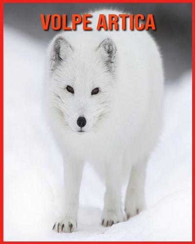 Volpe Artica