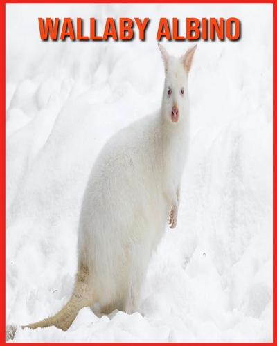 Wallaby Albino