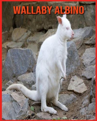 Wallaby Albino