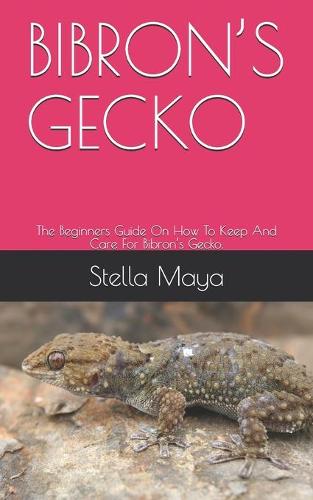 Bibron's Gecko