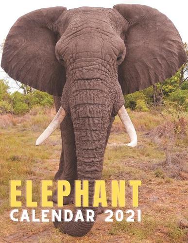 Elephant Calendar 2021
