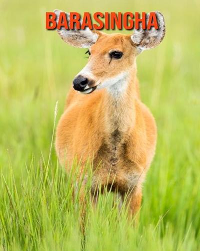 Barasingha