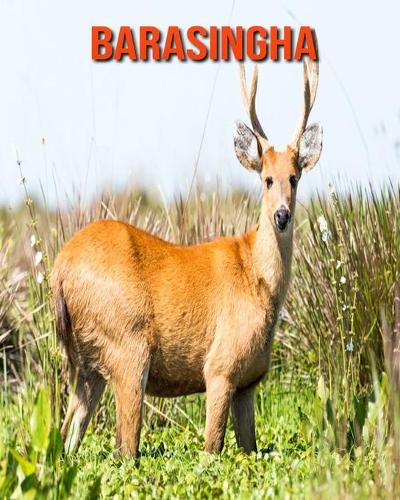 Barasingha