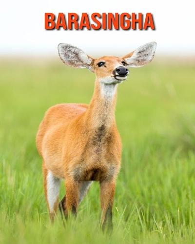 Barasingha