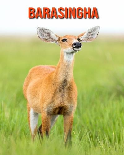 Barasingha