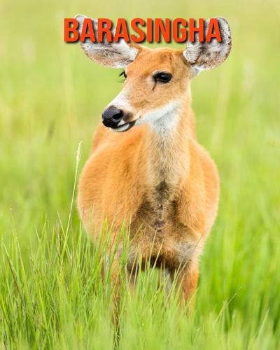 Barasingha