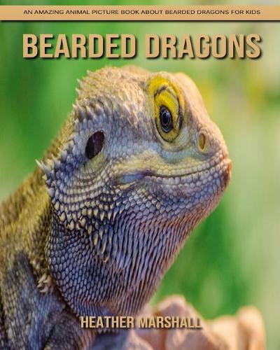 Bearded Dragons