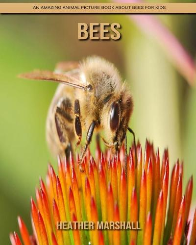 Bees