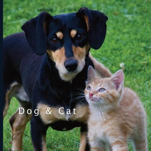 Dog & Cat