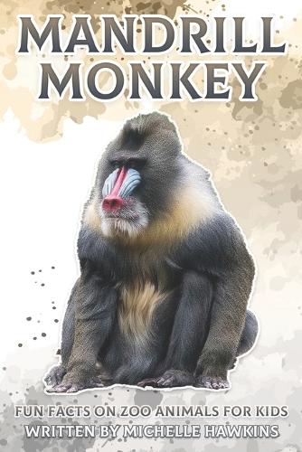 Mandrill Monkey