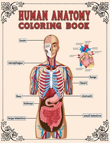 Human Anatomy Coloring Book